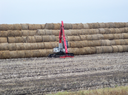 Bale storage and sampling device